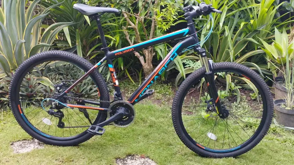Polygon Monarch 5 Baru