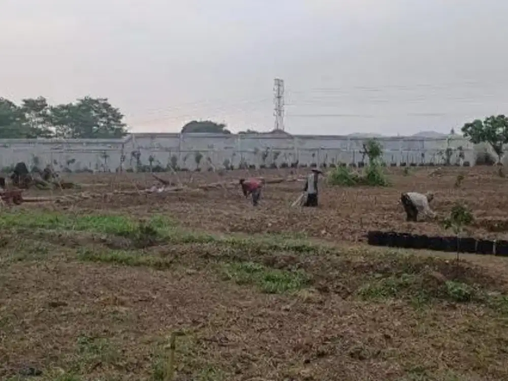 TANAH PINGGIR EXIT TOL SOROJA GERBANG TOL MARGAASIH BARAT