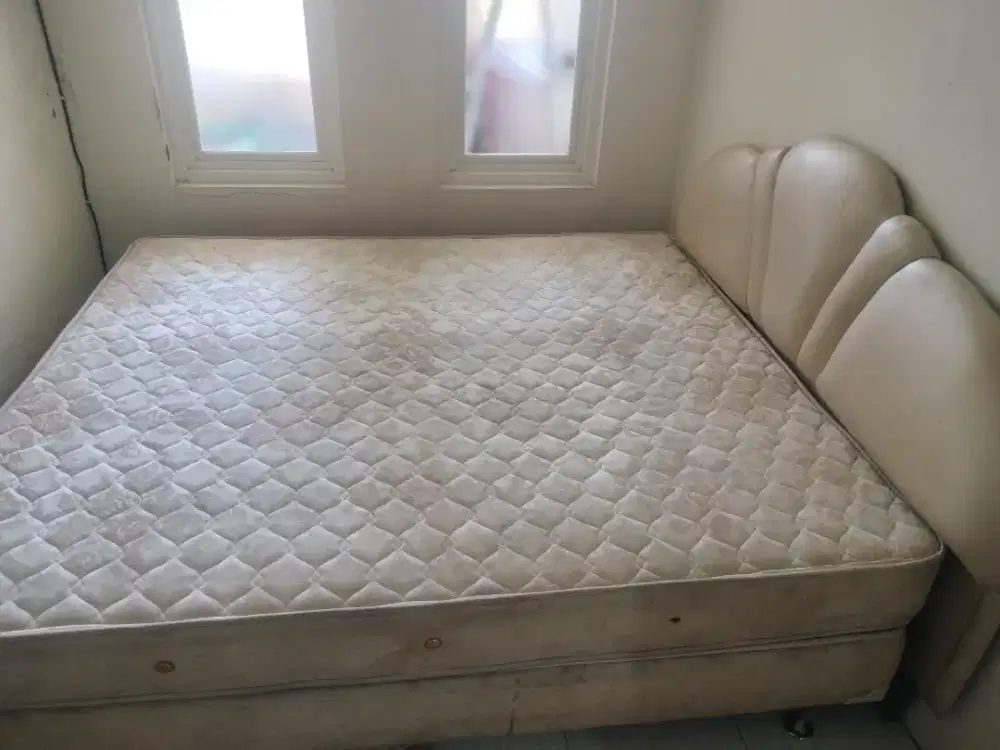 Kasur alga 180cm X 200cm