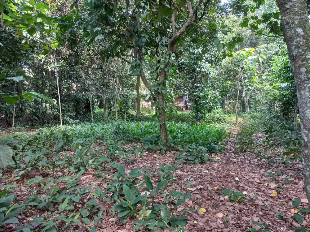 Dijual Tanah dibekasi