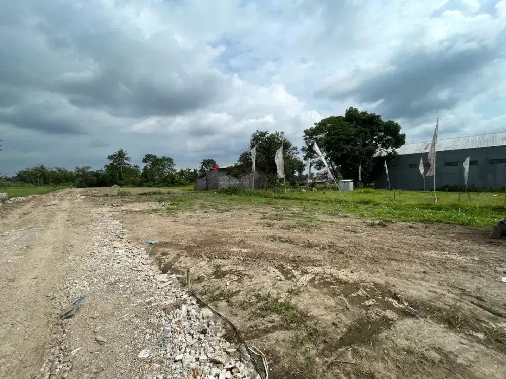 PROMO Bisa Tempo Tanah Palagan Mangku Jl Pandowoharjo SHMP