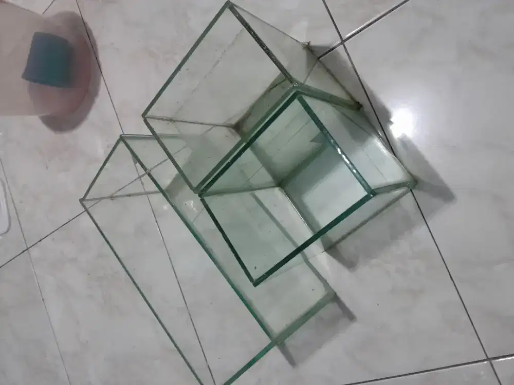 Aquarium ikan cupang ada 3