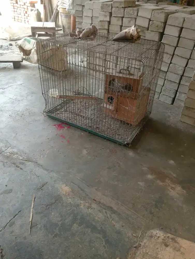 Kandang burung  dijual