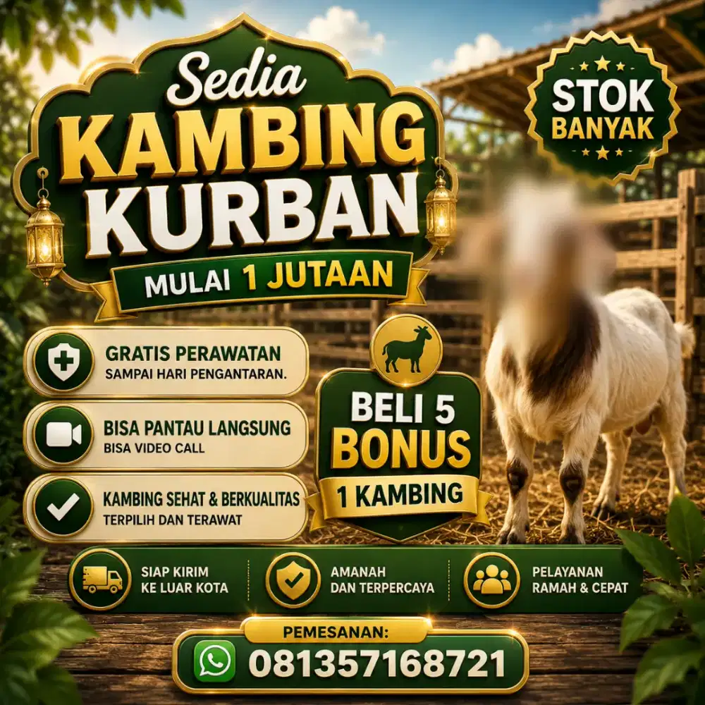 KAMBING KURBAN MULAI 1 JUTA BELI 5 BONUS 1
