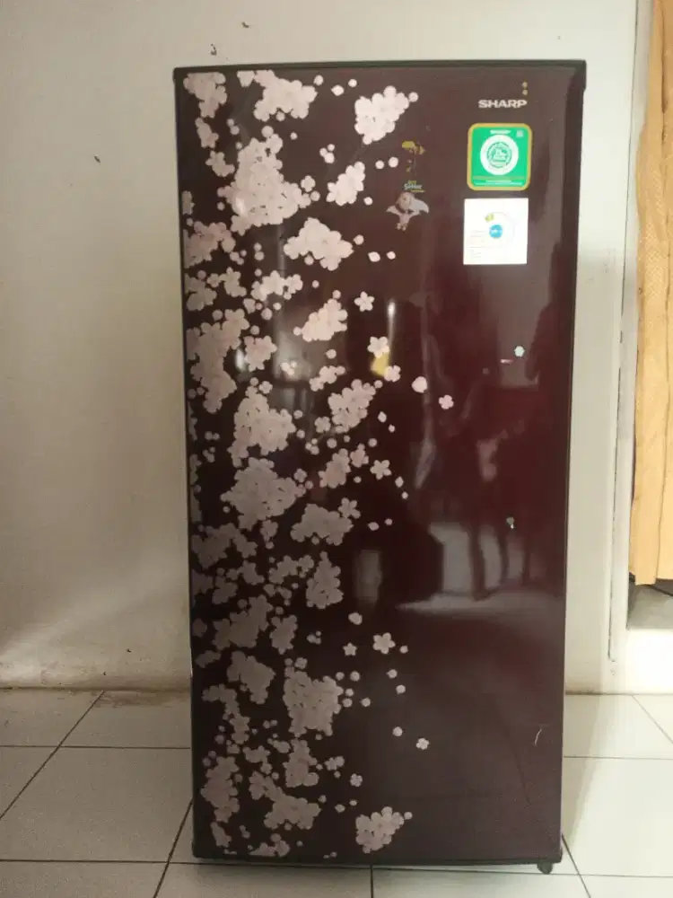 Kulkas Sharp 1 pintu
