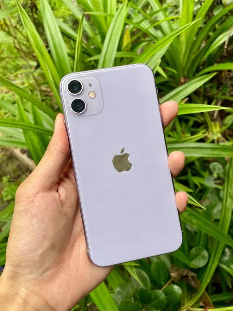 IPhone 11 64GB All operator
