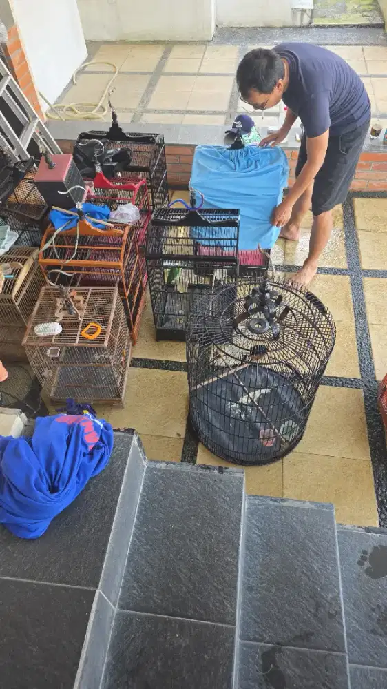 Burung kicau kolektor