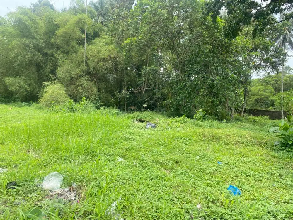 DIJUAL TANAH 2.520 METER DI JALAN PROVINSI DAERAH CISAYONG