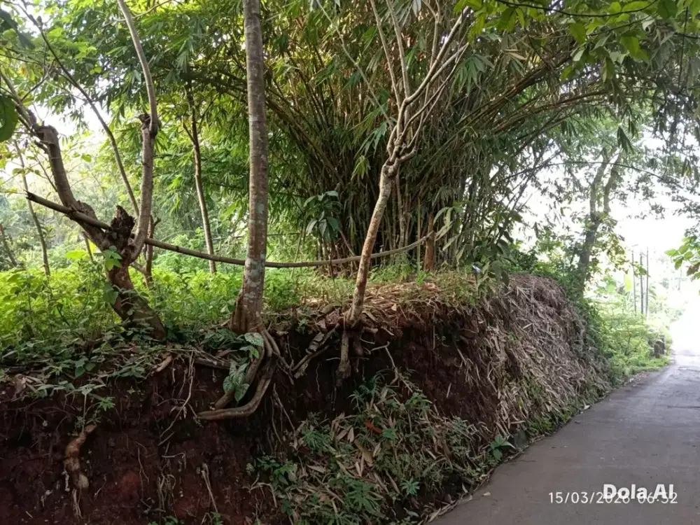 Dijual lahan di Taman Mekar Sari Bogor