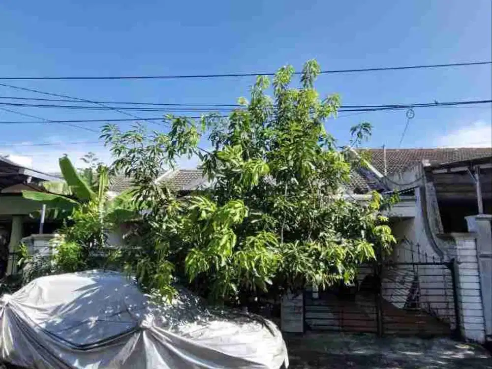 6JT-AN/MTR‼️Dijual Rumah Lama Hitung Tanah Kutisari Indah