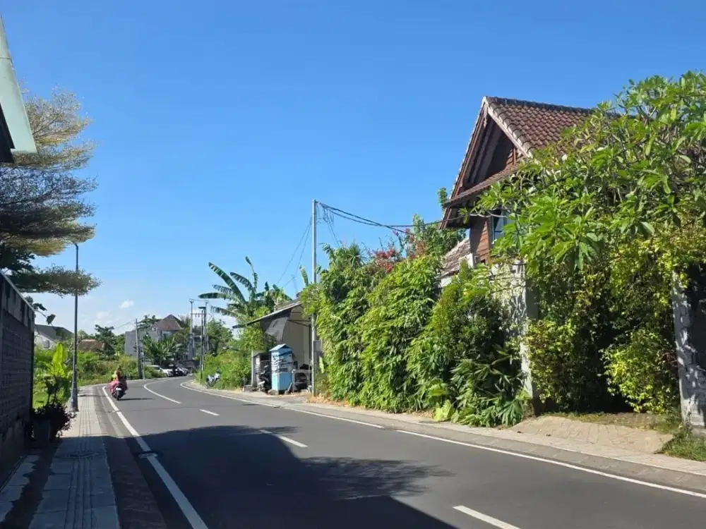 Tanah kayu tulang canggu