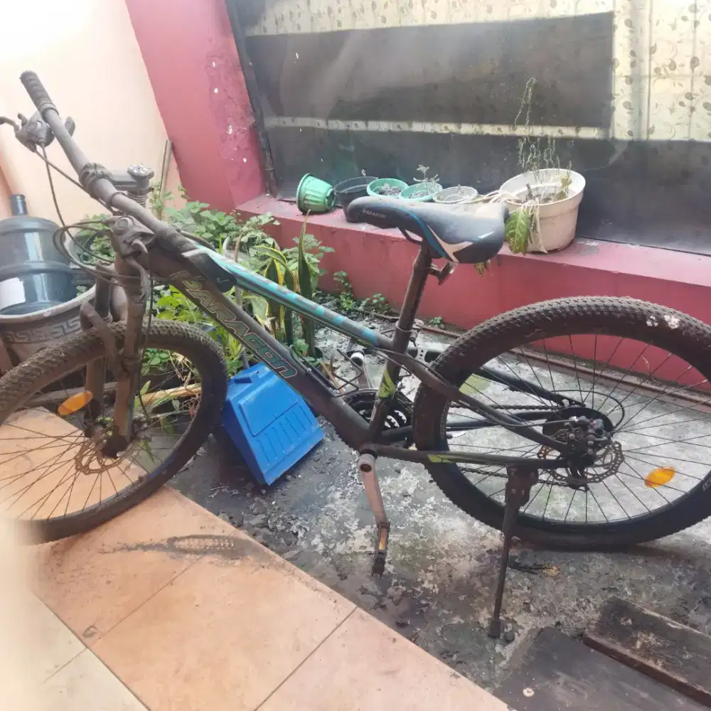 Sepeda MTB Paragon