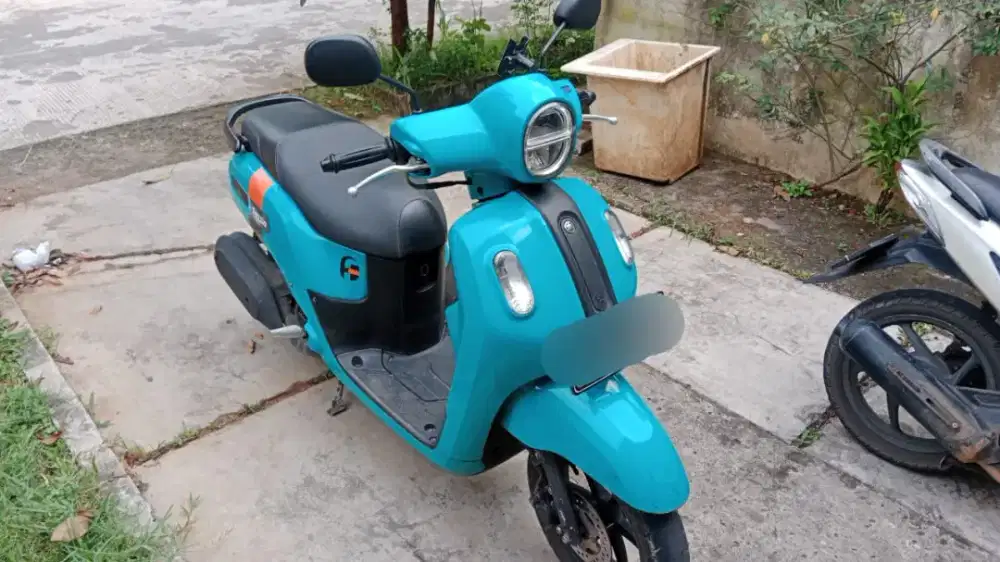 Fazzio Hybrid 2022