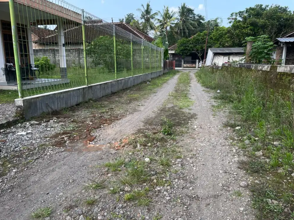 Tanah Jogja Tempel Dekat Jl Magelang Bisa Tempo