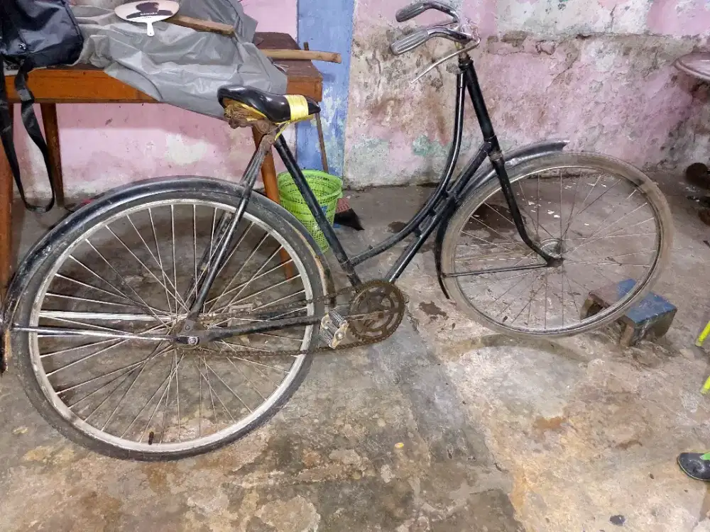 Sepeda kebo wedok
