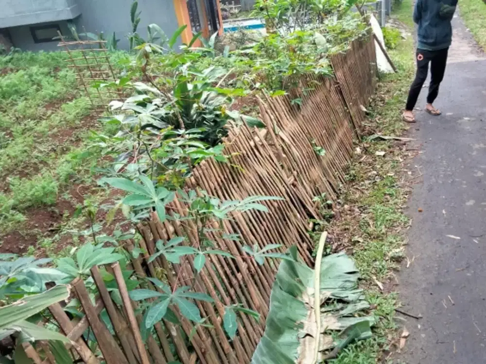 tanah bibir jl masuk roda 4 vew sawah kebun