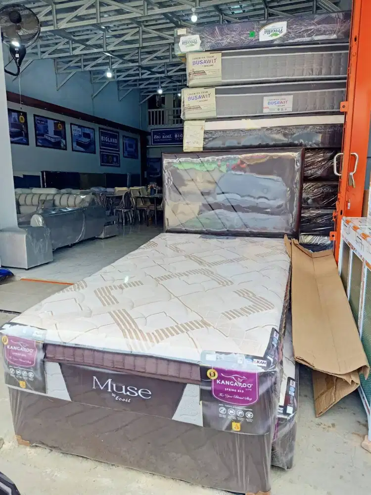 springbed sorong muse kangaroo