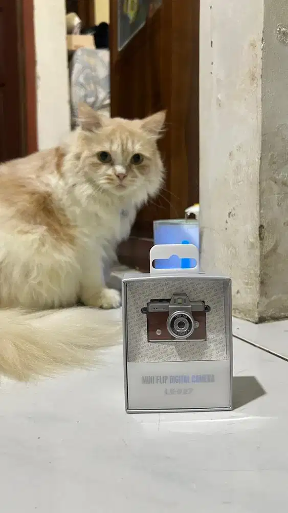 MINI FLIP DIGITAL CAMERA LK-027