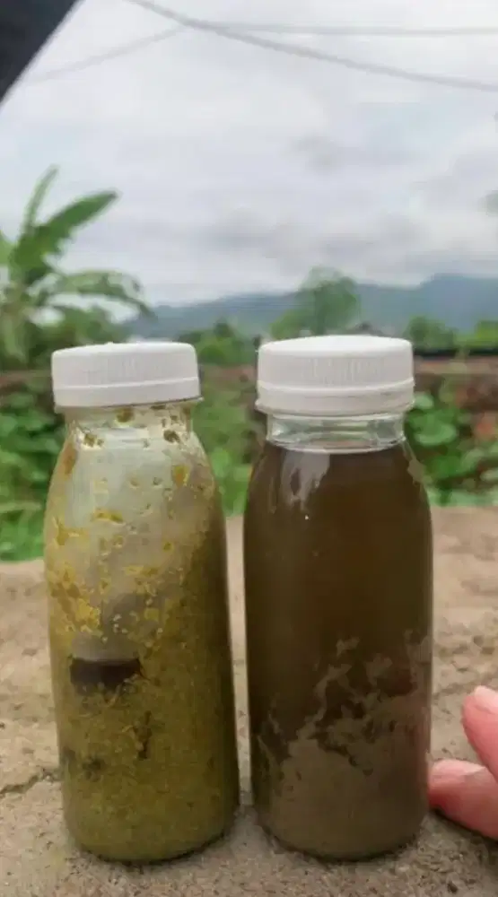 Alvino Original – Minyak Pijat Spesialis Perawatan & Vitalitas Pria