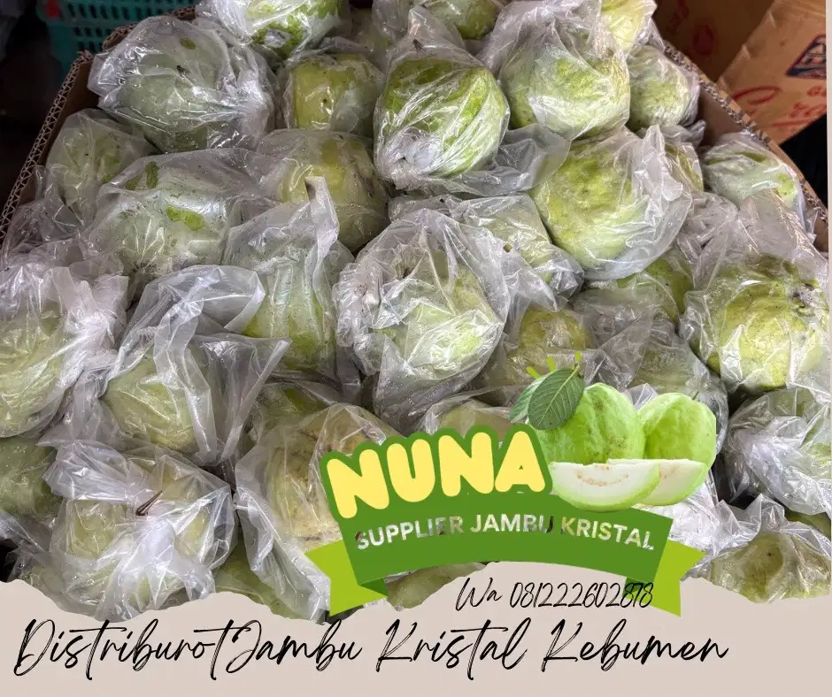 Jambu Kristal Asli Kebumen