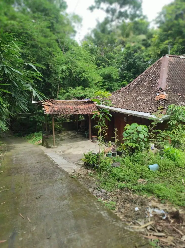 Dijual Rumah Limasan Banting Harga (BU)