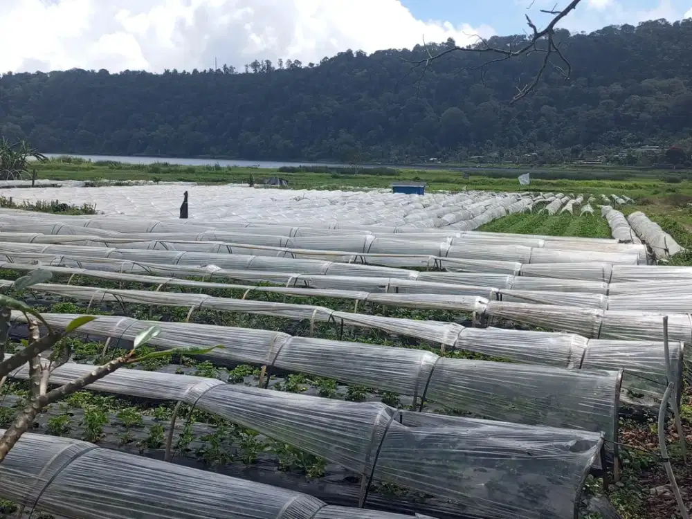 Disewakan Tanah Good View Los Danau Bedugul Pusat Obyek Wisata,Dasong Pancasari Bedugul Tabanan Bali  Cocok Untuk Villa, Glamping , Dermaga Boat