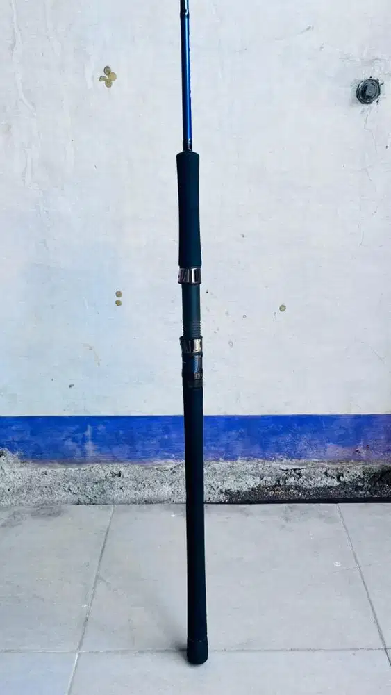 Road Daiwa Saltiga