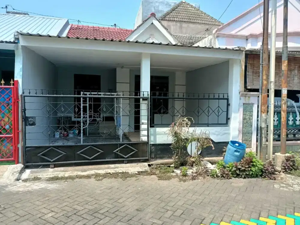 Sewa Rumah Siap huni dan nyaman daerah Plamongan Indah - 11388