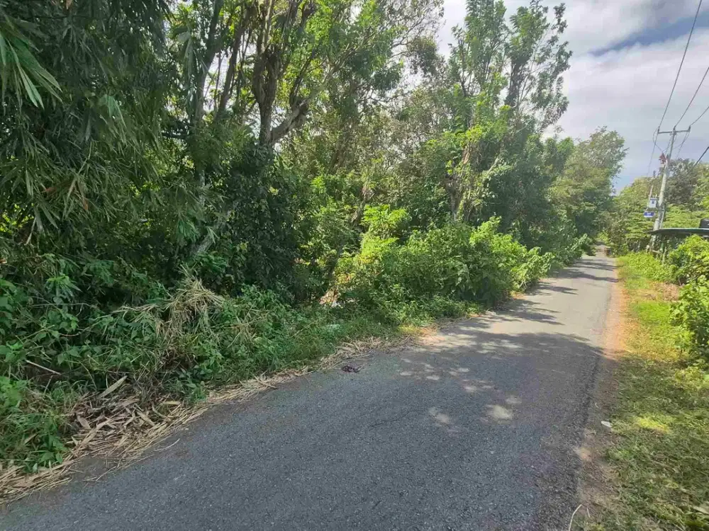 TANAH ZONA KUNING 35 ARE, HOOK JALAN DI TEGAL BADENG BARAT JEMBRANA