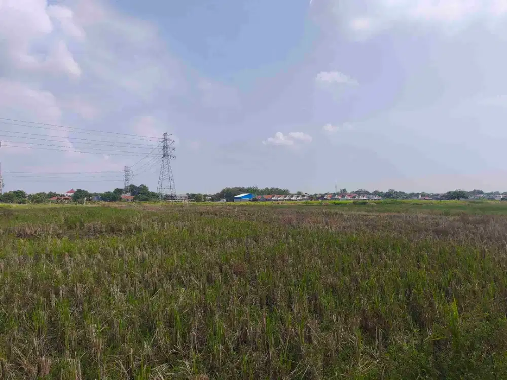 Tanah Sawah 3300