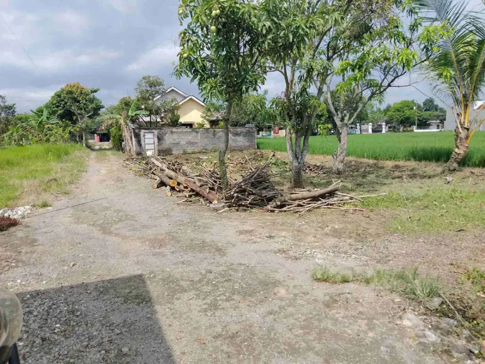 tanah pekarangan depan KUA Karangmalang Sragen