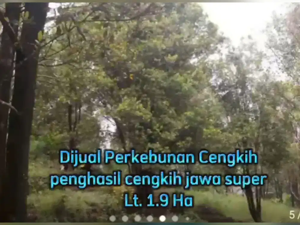 Dijual tanah kosong exs kebun cengkeh dpemalang Jawa tengah cocok untuk wisata