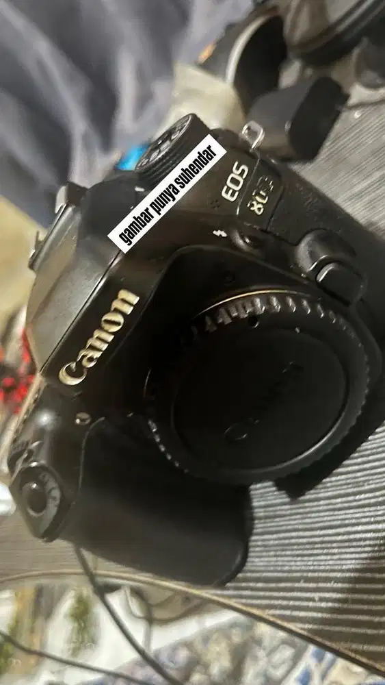 kamera Canon eos 80D