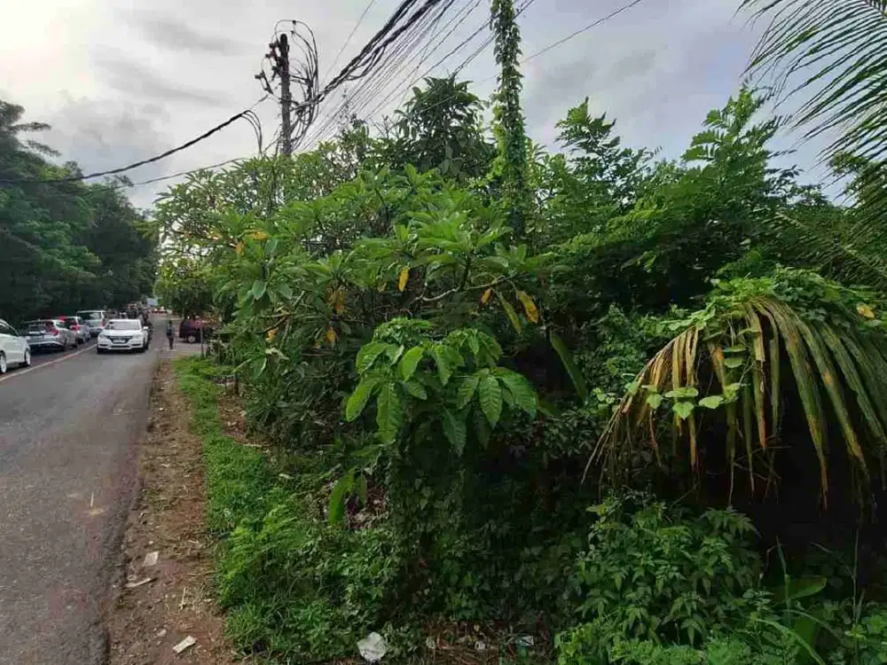 Dijual tanah di Jalan Utama Pecatu-Uluwatu