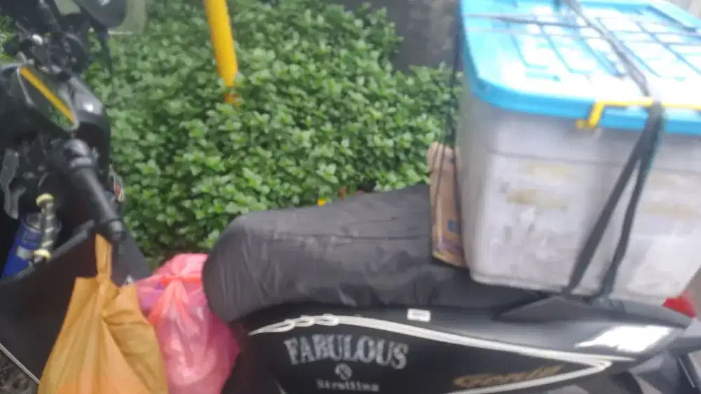 Jasa antar jemput anak sekolah