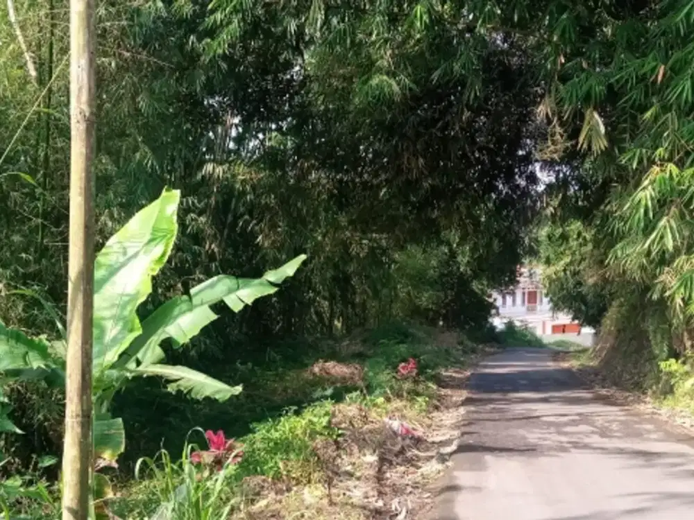 Tanah bibir jalan cocok bikin cafe, lesehan