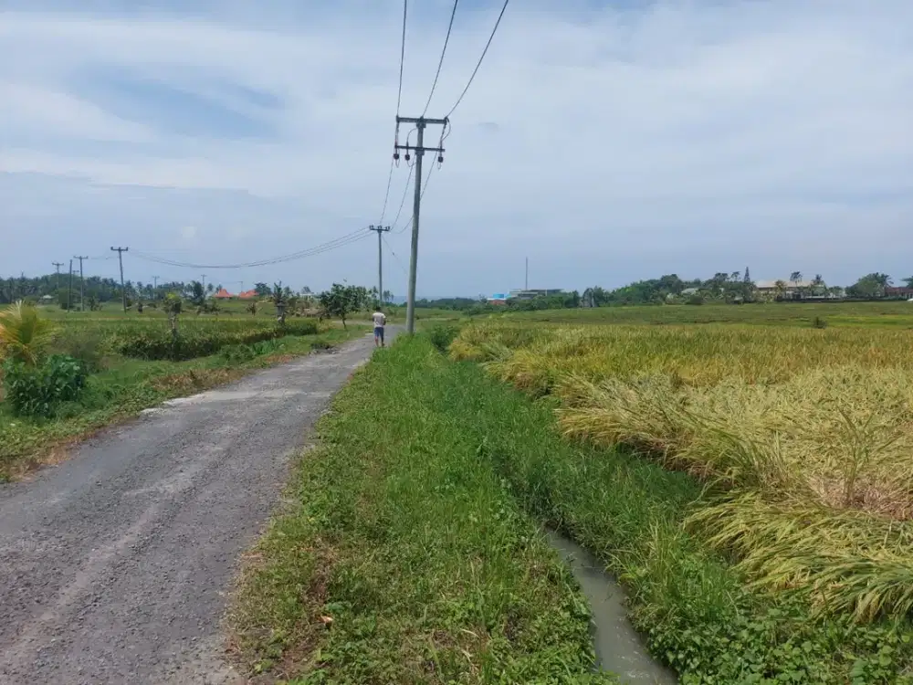 Dijual Sebidang Tanah Ocean View Di Areal Villa Babar , Di   Pantai Beraban Tabanan Bali. View Exclusive Laut, Sawah Dan Gunung.