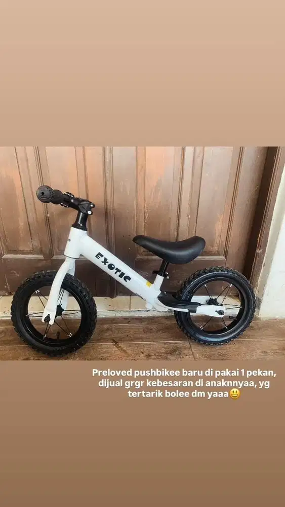 Sepeda anak pushbike