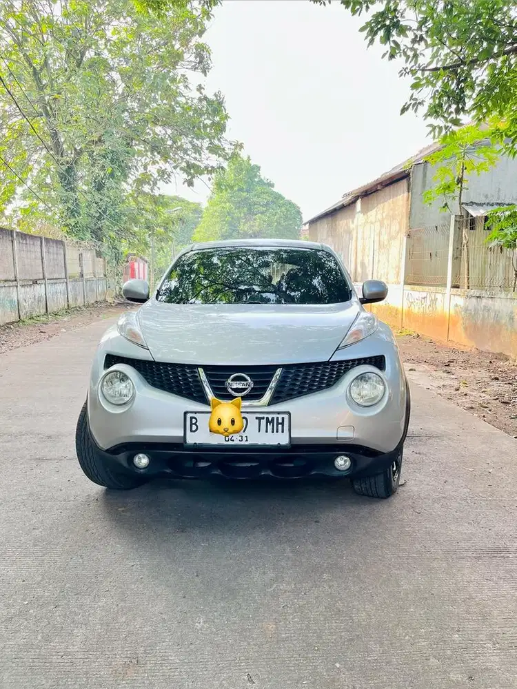 Nissan Juke 2012 RX