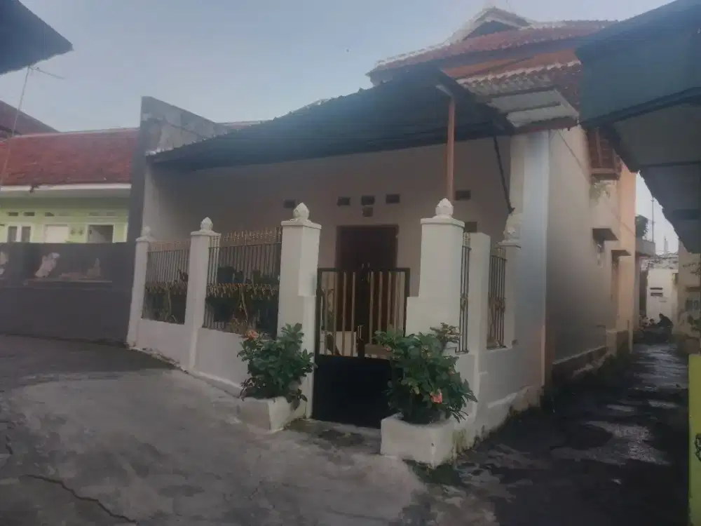 Disewakan rumah siap pakai di pusat kota