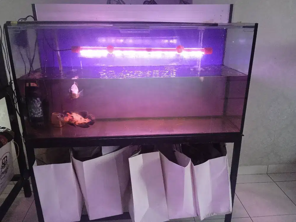 aquarium akuarium 120x40x60 full set