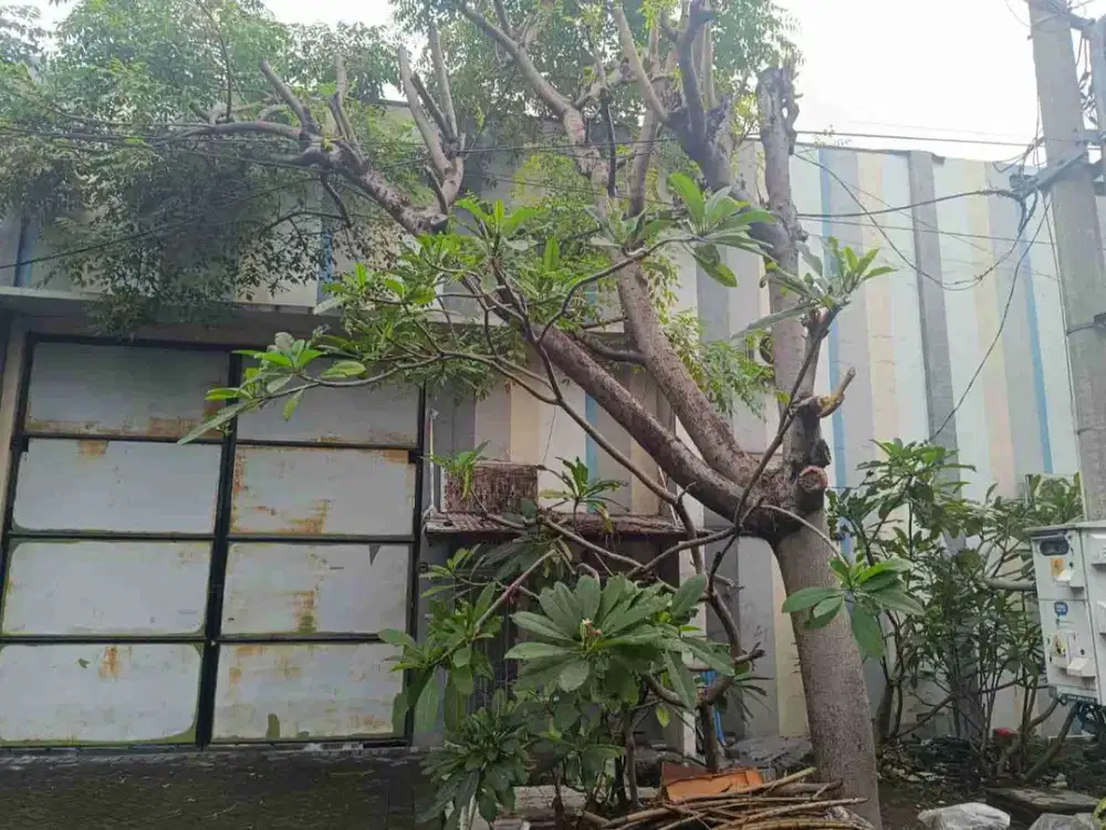 Dijual Gudang Safe N Lock Sidoarjo