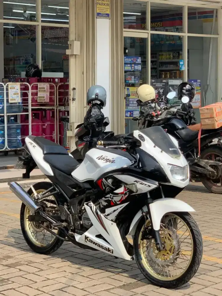 Ninja rr 2013 (type SE)