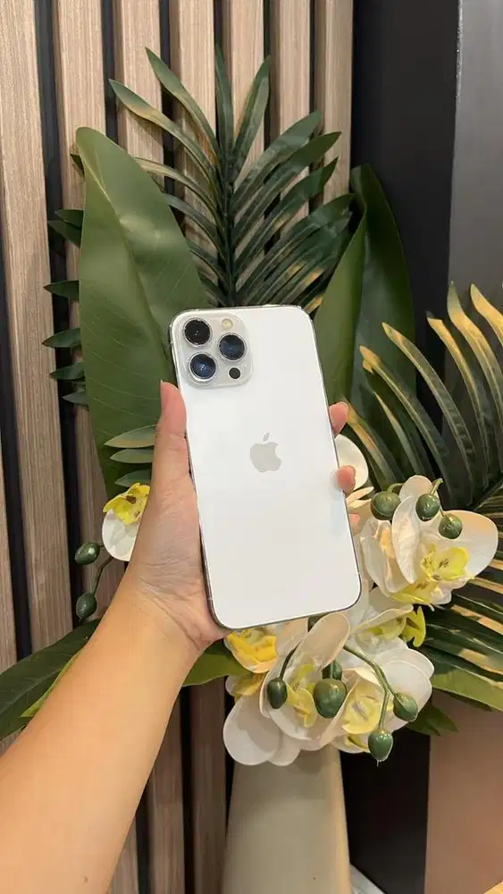 iPhone 13Pm 257 Bc