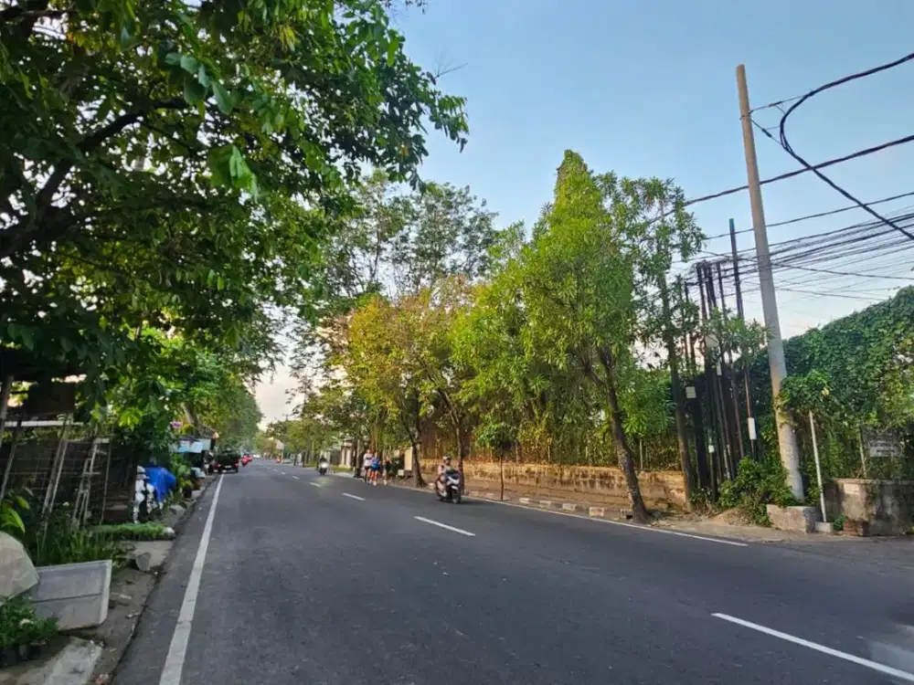 Dijual Tanah Sangat Strategis Usaha Hook Di Jalan Hayam Wuruk  Denpasar .Bali. Plaza Renon, Warmadewa, Sanur ,