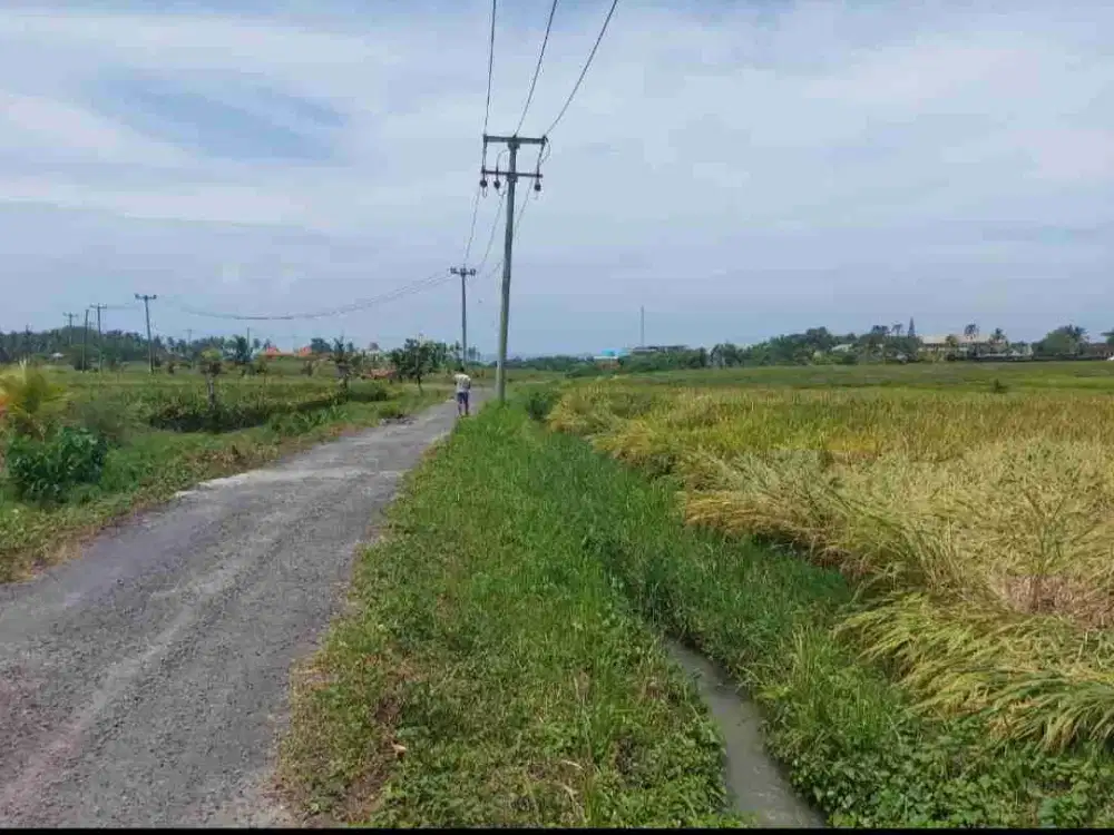 tanah jalan kaki ke pantai beraban tabanan bali