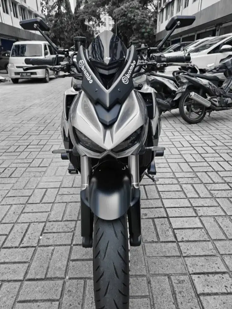 Kawasaki Z1000 Sugomi