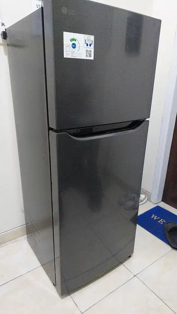 Kulkas LG 2 Pintu