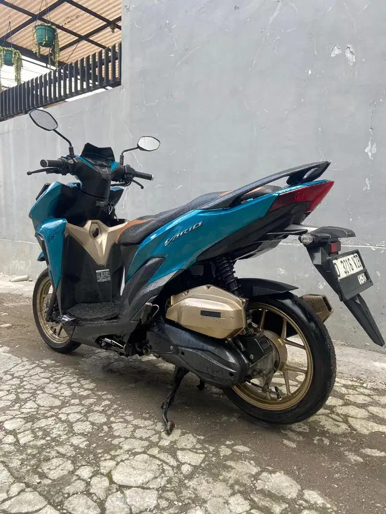 vario 2019 cokelat