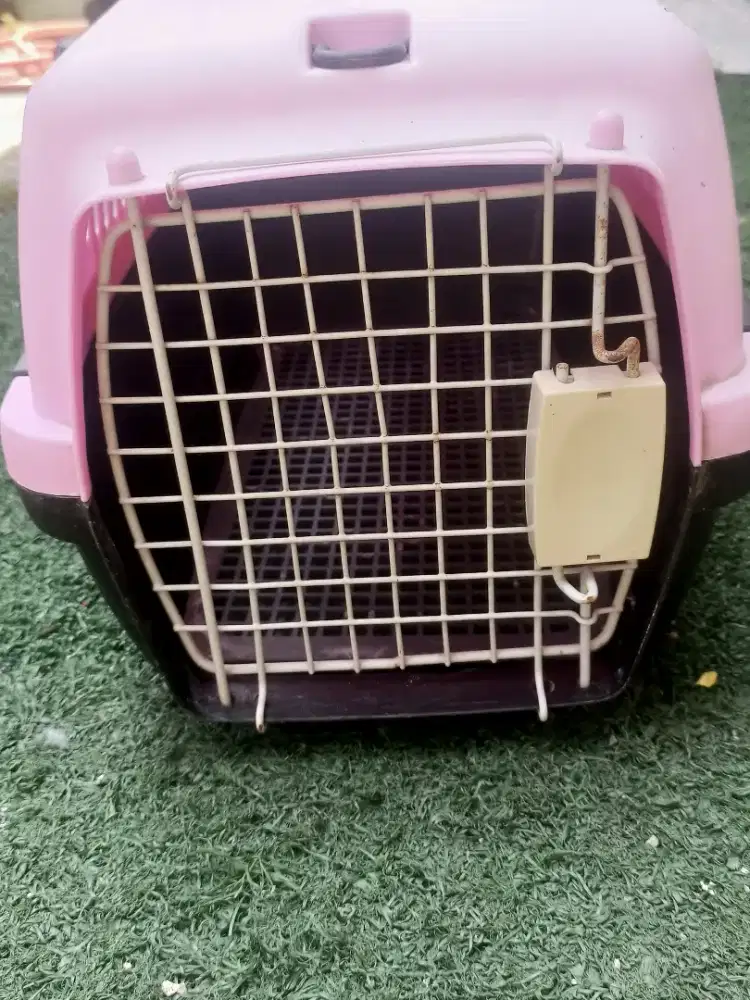 Di jual pet carga